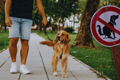 Estas son las 10 ciudades más "maleducadas" de México