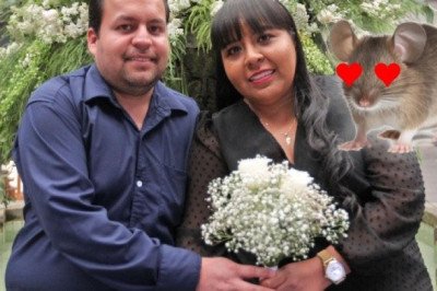 El animal que es más monógamo que los humanos