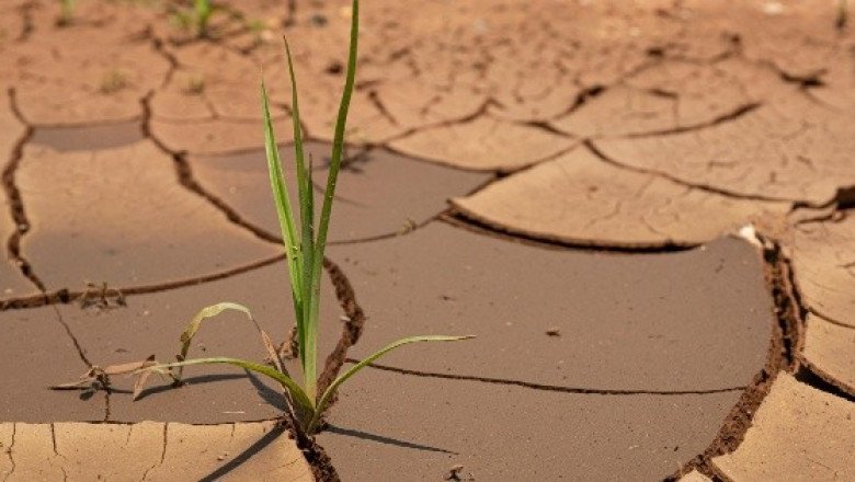 ONU destina 4.5 millones de dólares para prevenir conflictos por el agua en Centroamérica
