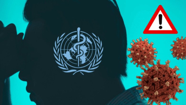La OMS teme por la seguridad de estos países tras brote de hantavirus