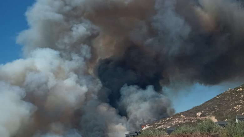 Atiende Bomberos de Ensenada incendio forestal en San José de la Zorra