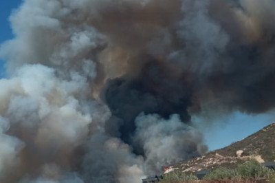 Atiende Bomberos de Ensenada incendio forestal en San José de la Zorra