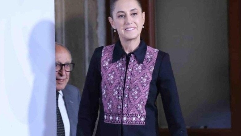 "Yo recibo a muchas madres buscadoras": Sheinbaum tras la visita del pato Merlín