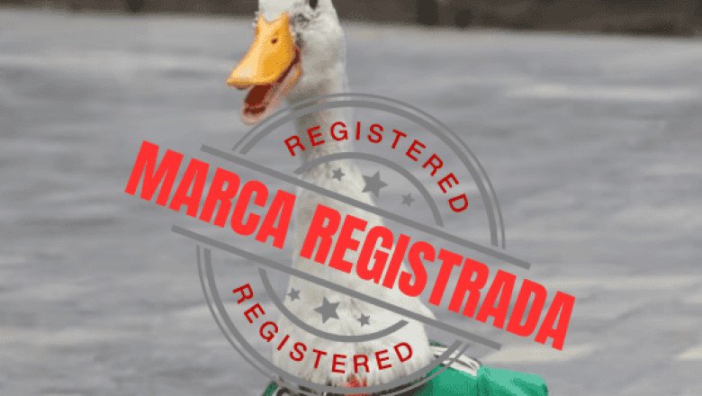 Pato Merlín: Dueña registra el nombre del animalito en el IMPI