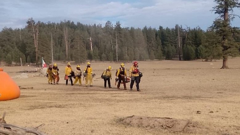 Mantiene Bomberos de Ensenada monitoreo del incendio forestal en el Parque Nacional Sierra San Pedro Mártir