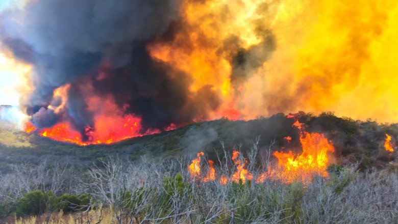 Avanza control de incendio forestal en el Valle de la Trinidad