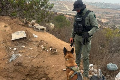 Binomio canino de la DSPM localiza restos óseos