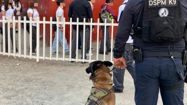 Realiza la DSPM filtro aleatorio preventivo de revisión en CBTis 41