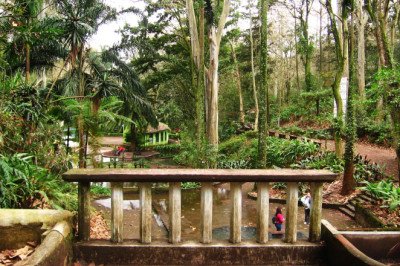 Los Tecajetes, el parque de Xalapa donde todavía brota agua de manantial