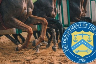 Sancionan a empresas del Cártel del Noreste involucradas en carreras de caballos