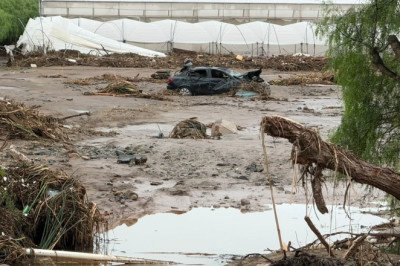 Inicia con retiro de vehículos siniestrados tras la tormenta Rachel