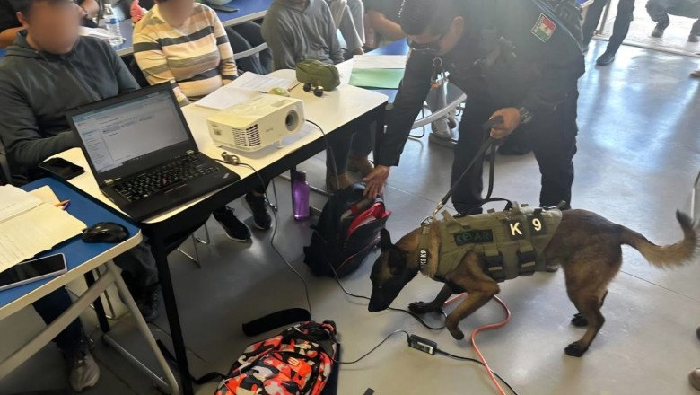 Realiza SSCBC operativo en aulas de la Universidad Tecnológica de Tijuana (UTT), campus  Maneadero